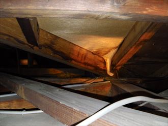 雨漏り,小屋裏,染み