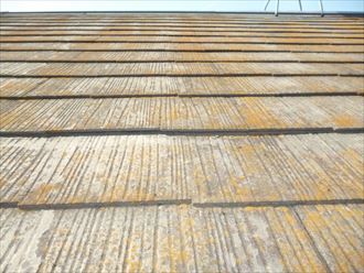 スレート,劣化,苔