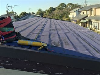 タディスセルフ