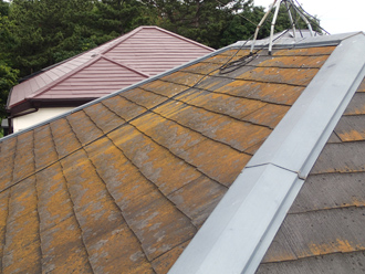 屋根に苔の発生