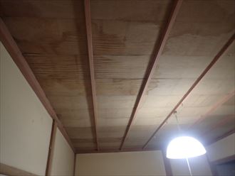 雨漏り,点検依頼