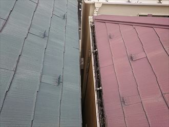 雨樋,隣地境界線