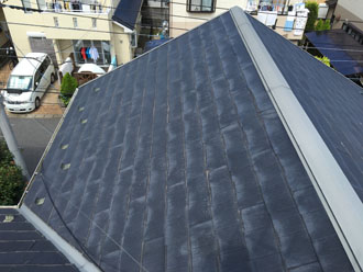 ニチハパミール