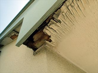 軒天,剥がれ,雨漏り