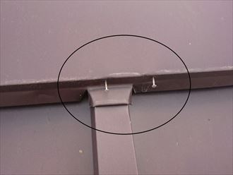 棟板金釘浮き
