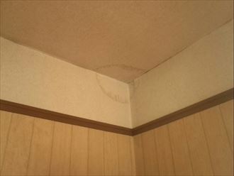 天井染み