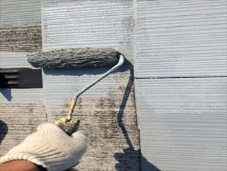 ベスコロフィラー