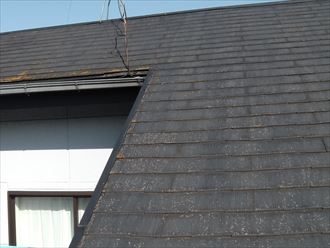屋根点検