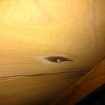 小屋裏,釘穴からの雨漏り