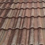 小口の見極め方