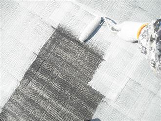 ベスコロフィラーHG