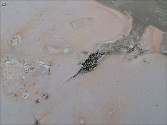 袖ケ浦市　防水層の亀裂