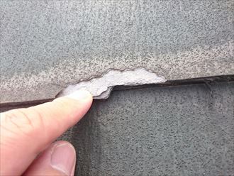 ニチハのパミール