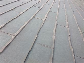 パミールの特徴