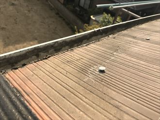 葛飾区強風、雪災被害