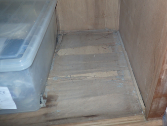 押し入れの床にも雨漏り跡