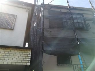 メッシュシート