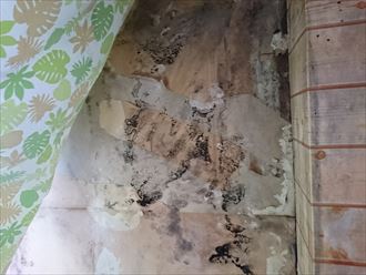 クロスの剥がれ