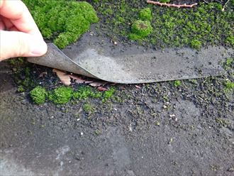 シート防水の捲れ