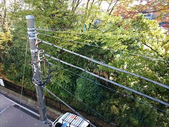 木の葉が溜まってしまう