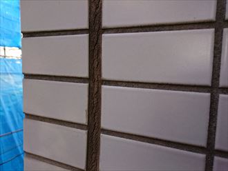 タイル目地の劣化