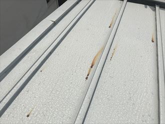 文京区屋根点検調査