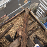 鳥の巣による屋根の傷み