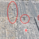 苔が生えたスレート