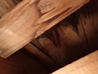 小屋裏の雨漏り跡