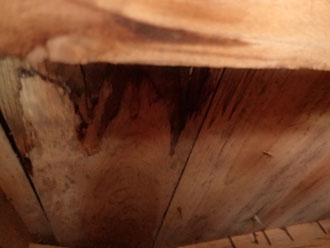 軒天の剥がれの原因