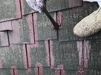 切り込みから塗装