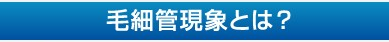 毛細管現象の解説