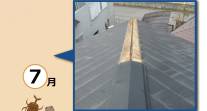 別・季節毎に行いたいメンテナンス