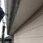 現地調査では確認不可