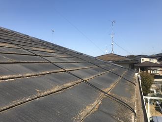 スレート瓦の状況