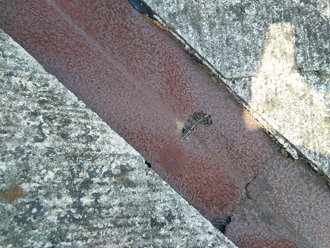 錆びてひびが入っている