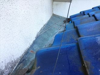 モルタル外壁のカビと吸水の状態