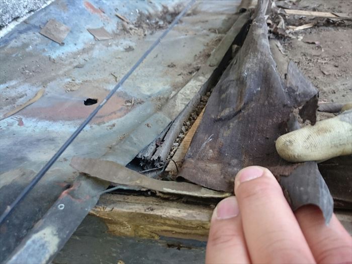 野地板の腐食