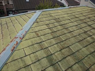 スレート屋根点検