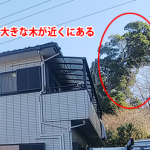 東大和市狭山で落ち葉詰まりの雨樋清掃、近くに大きな木がある場合は定期的な清掃が必要です