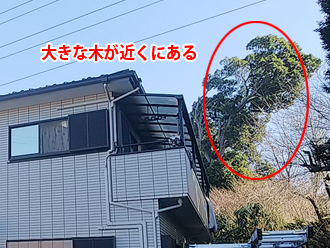 東大和市狭山　近くに大きな木があるため落ち葉が雨樋に入りやすい