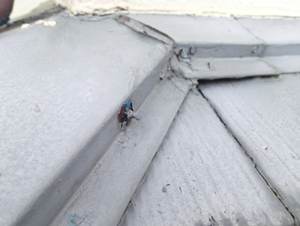 釘が抜けかかっている