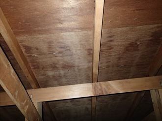 野地板全体に雨染み