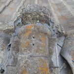 カビや苔の繁殖