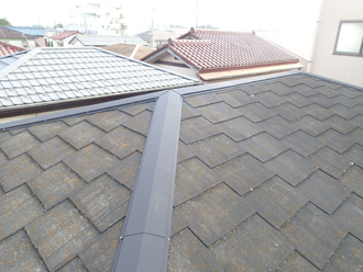 藻が発生している屋根