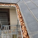 雨樋からの雨漏れ原因は落葉