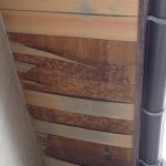 剥がれた軒天２