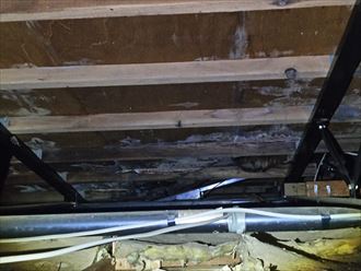 野地板に発生したカビ