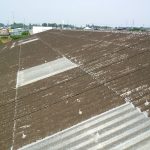 大波スレートの屋根、全景