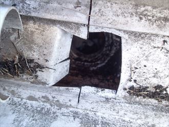 定期的な雨樋清掃の実施